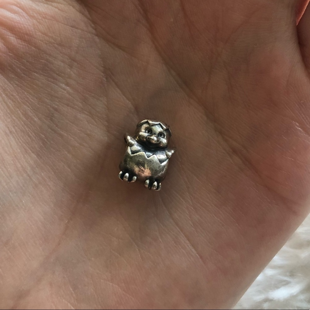 RETIRED PANDORA CHARM